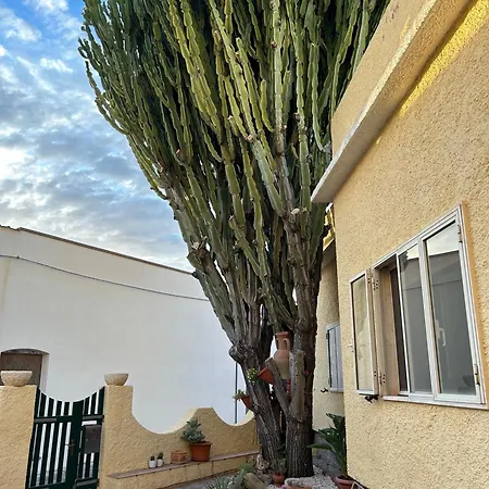 Casa Euphorbia Holiday home *