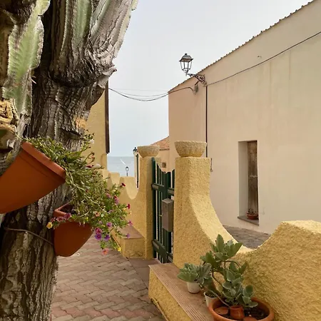 Casa Euphorbia