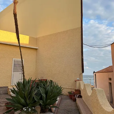 Casa Euphorbia *