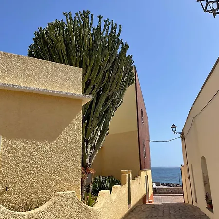 Casa Euphorbia * Portoscuso