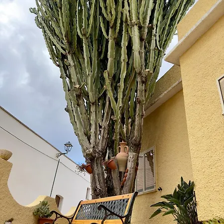 Casa Euphorbia Portoscuso